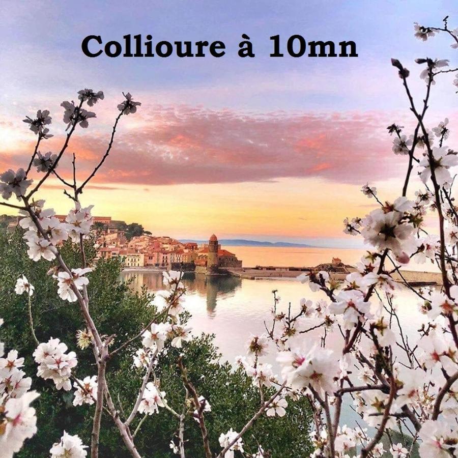Maison Small Luxury Argelès-sur-Mer Buitenkant foto